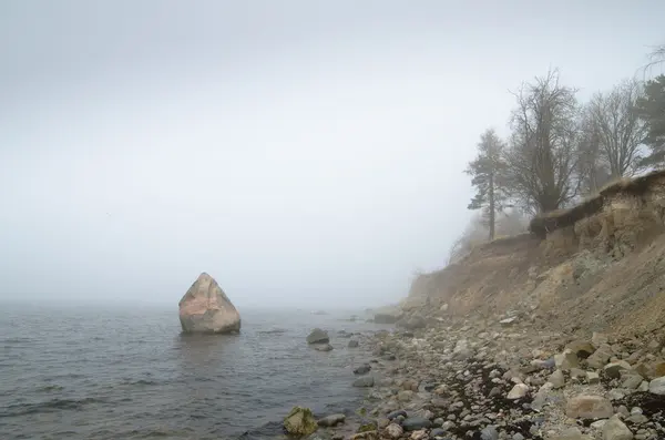 North Estonian limestone shore in a fog — Stock Photo, Image