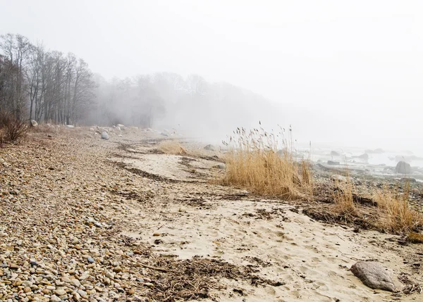 波罗的海沿岸在雾中 — 图库照片