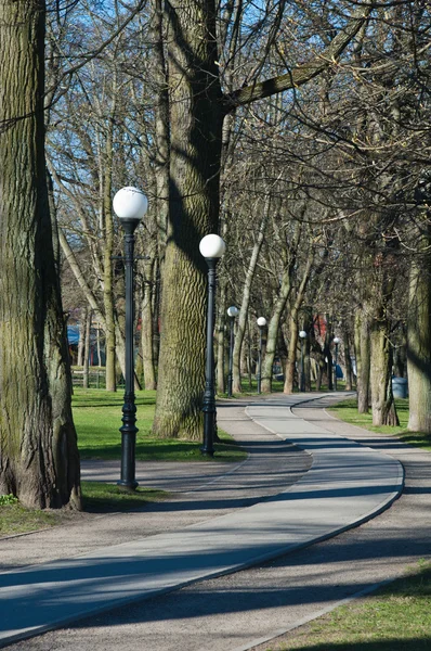 Avenue i parken kadriorg, tidigt på våren — Stockfoto
