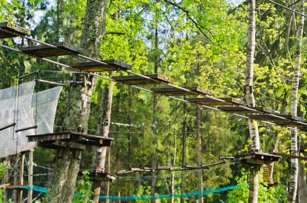 Dangerous ropeway with tether in rope park, trees with green lea — Stock Photo, Image