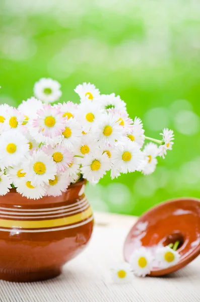 Buquê de flores silvestres em um pote à mesa — Fotografia de Stock