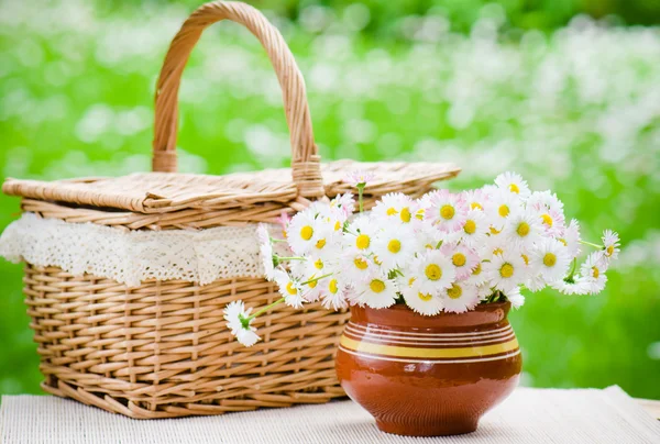 Bukiet stokrotek w garnku na stole na piknik — Zdjęcie stockowe