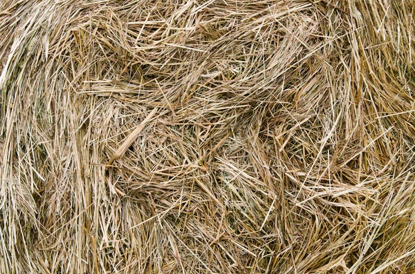 Close-up shot of a large bail of hay — Stock Photo, Image