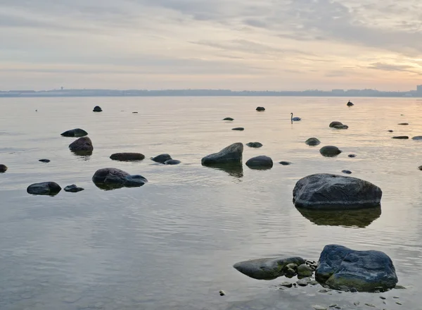 이른 아침에에서 발트 해를의 돌의 해안 — 스톡 사진