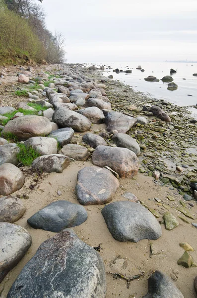 Stony coast of Baltic sea early in the morning — Stock Photo, Image