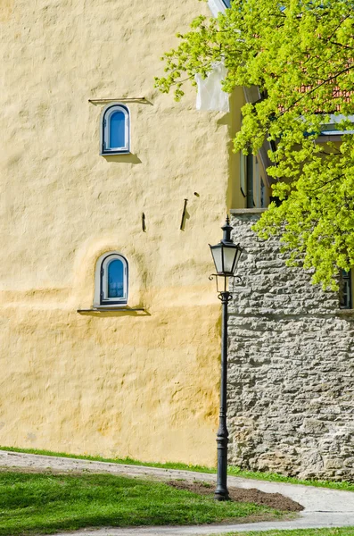 Lente in park van tallinn — Stockfoto