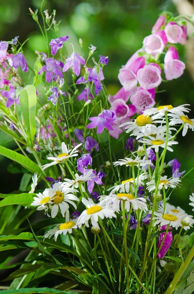 Strauß schöner Sommerblumen, Nahaufnahme — Stockfoto