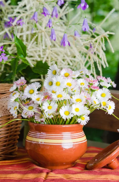 Mooie madeliefjebloemen, close-up. zomer achtergrond — Stockfoto
