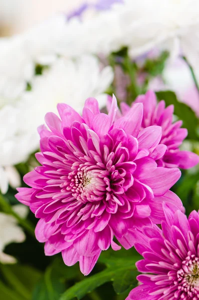 Summer flowers bouquet, close-up — Stock Photo, Image