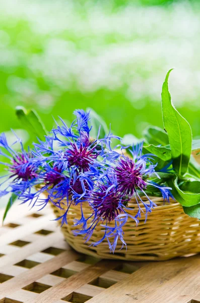 Um bando de flores de milho numa cesta de vime. Fundo de verão — Fotografia de Stock