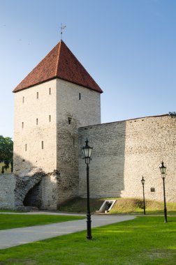 Tallinn Ortaçağ towers Park'ta