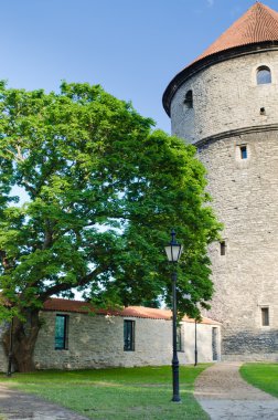 Tallinn Ortaçağ towers Park'ta