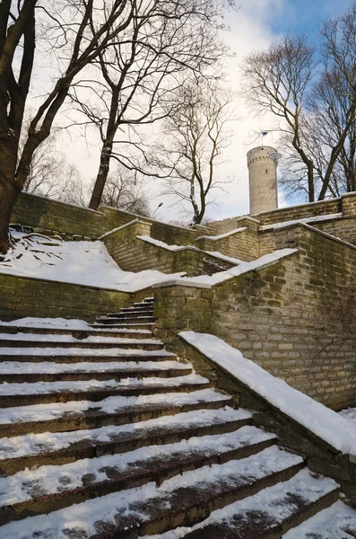 Escadas o líder em uma parede medieval da cidade em Tallinn — Fotografia de Stock