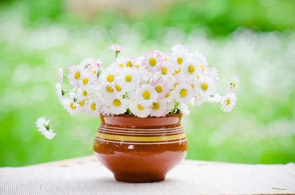 Un bouquet de marguerites dans un pot à la table — Photo