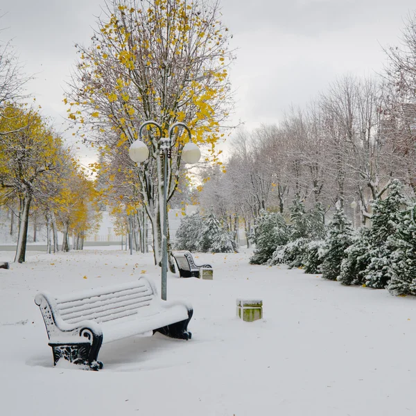 Aleja w parku późną jesienią. Burza śnieżna — Zdjęcie stockowe
