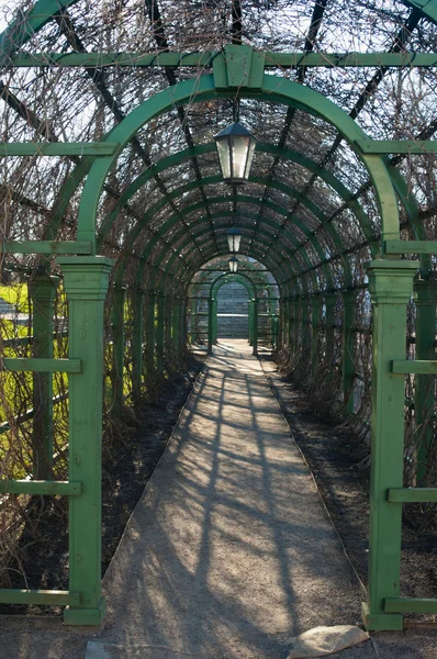 Green pergola in a park in spring, close up — Stock Photo, Image