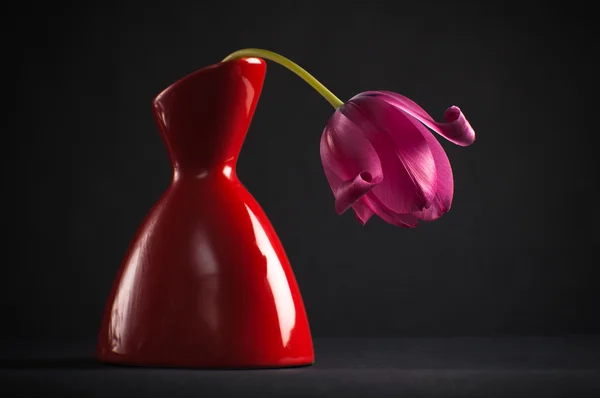 Pink tulips in a vase on a black background — Stock Photo, Image