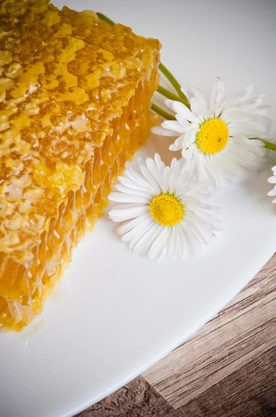 Honeycomb with daisies on white plate — Stock Photo, Image