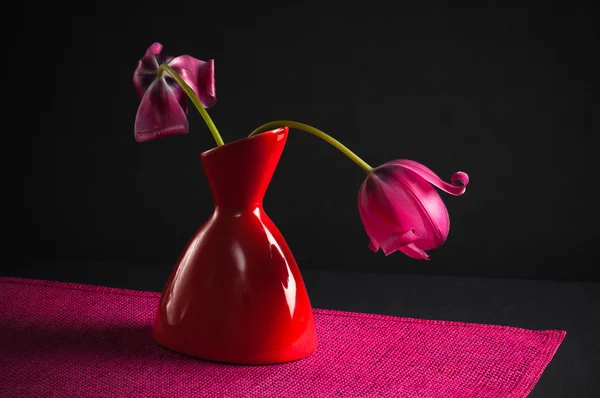 Tulipas cor-de-rosa em um vaso em um fundo preto — Fotografia de Stock