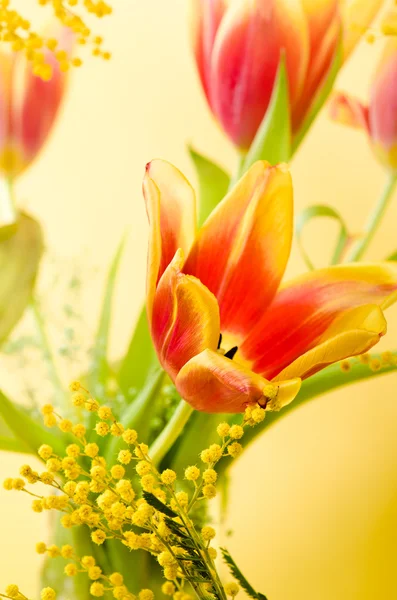 Весенний букет с мимозой и тюльпанами — стоковое фото