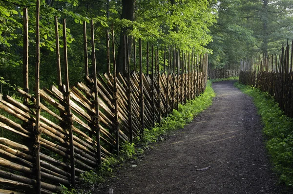 Chemin dans une campagne le long d'une clôture en bois, un gros plan — Photo