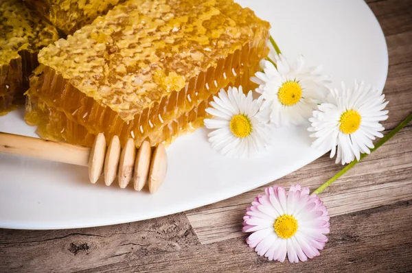 Favo de mel com margaridas na placa branca — Fotografia de Stock