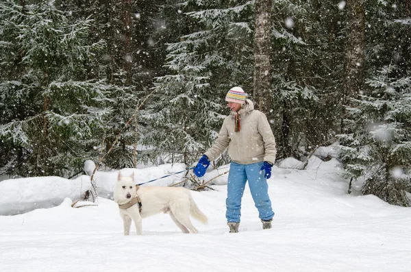 Žena se psem na procházce v lese během padající sníh — Stock fotografie