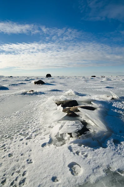 Piedras en el hielo en la costa del Mar Báltico —  Fotos de Stock