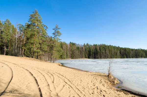 Paisaje de primavera en el lago bosque — Foto de Stock