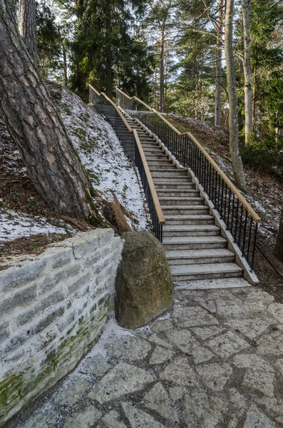 Bel escalier dans le parc menant à . — Photo