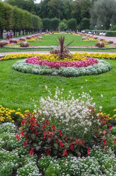 Schönes Blumenbeet im Park — Stockfoto