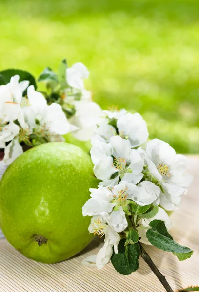 Groene appel met een tak van een bloeiende appelboom close-up — Stockfoto