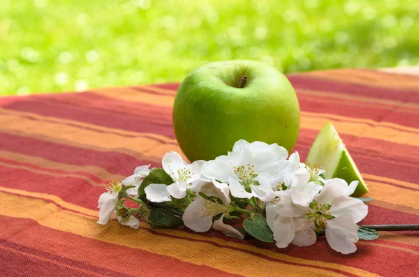 Grönt äpple med en gren av en blommande äppelträd, i en gard — Stockfoto