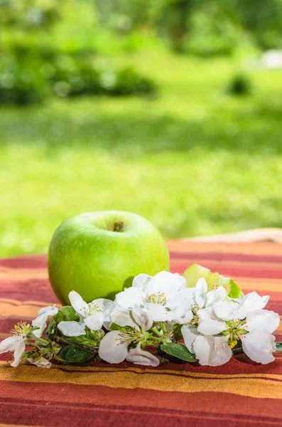 Grüner Apfel mit einem Zweig eines blühenden Apfelbaums — Stockfoto