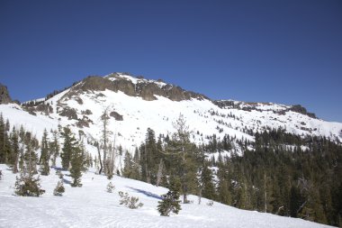 Sierra nevada kar aralıkları