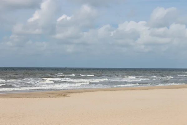 Summer beach in the Netherlands — Stock Photo, Image