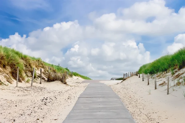 The road in dunes to the beach. Netherlands — Stock Photo, Image