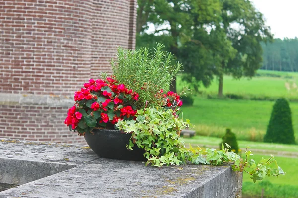Flores no castelo Heeswijk. Países Baixos — Fotografia de Stock
