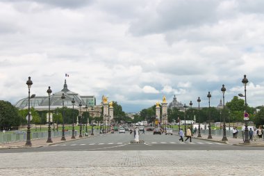 alexander III Köprüsü Paris manzarası. Fransa