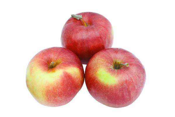 Три красных яблока на белом фоне — стоковое фото