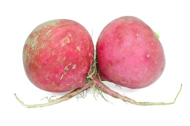 beyaz zemin üzerinde iki büyük turp