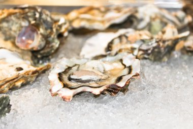 istiridye buzda balık Restaurant