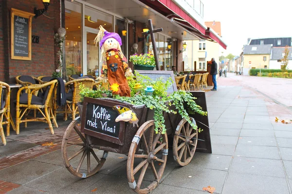 Dekorációs kosár kívül a restaurant Valkenburg. Hollandia — Stock Fotó