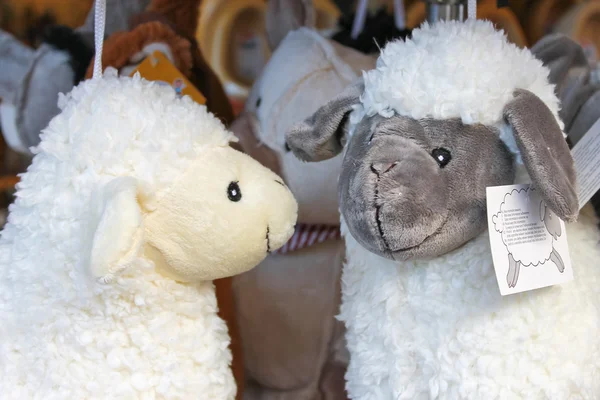 М'які іграшкові вівці в сувенірній крамниці — стокове фото
