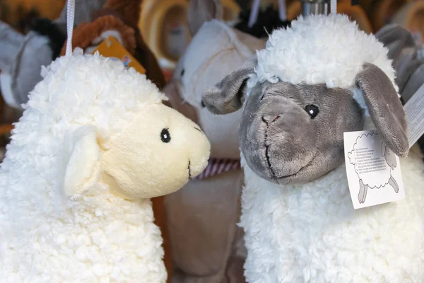 Ovejas de juguete blando en la tienda de recuerdos — Foto de Stock