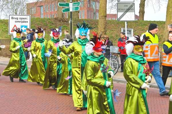 Carnaval anual de invierno en Gorinchem. febrero 9, 2013, The Nethe — Foto de Stock