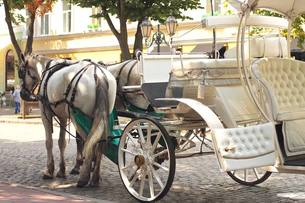 Лошади нарисовали карету на летней улице города — стоковое фото