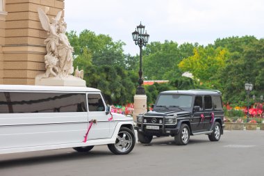 odessa opera binası girişinde yakın düğün törenleri. Ukrayna