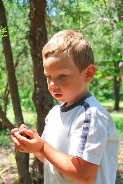 Στοχαστικό παιδί στο πάρκο κατέχει σαλιγκάρια — Φωτογραφία Αρχείου