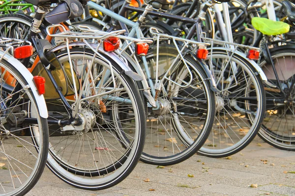 Several bikes in the parking lot. Netherlands — Zdjęcie stockowe